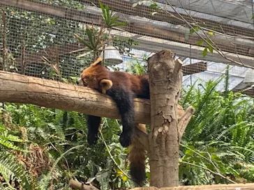 神戸どうぶつ王国に投稿された画像（2022/5/7）