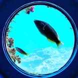 串本海中公園水族館に投稿された画像（2022/5/8）