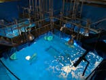 アクアワールド茨城県大洗水族館に投稿された画像（2022/5/8）