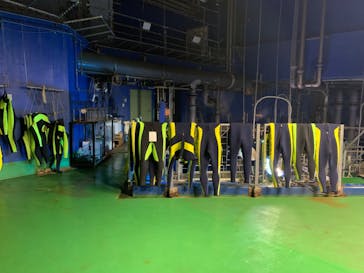 アクアワールド茨城県大洗水族館に投稿された画像（2022/5/7）