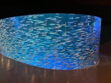 登別マリンパークニクスに投稿された画像（2022/5/7）