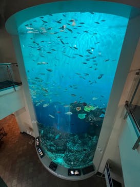 登別マリンパークニクスに投稿された画像（2022/5/7）