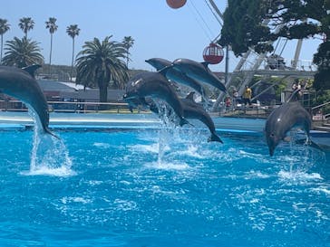 南知多ビーチランド＆南知多おもちゃ王国に投稿された画像（2022/5/7）