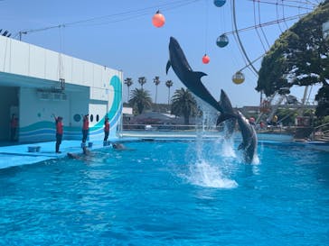 南知多ビーチランド＆南知多おもちゃ王国に投稿された画像（2022/5/7）