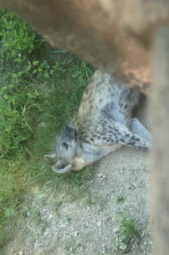 天王寺動物園に投稿された画像（2022/5/7）