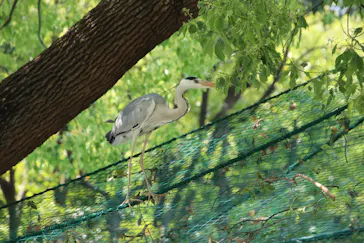 天王寺動物園に投稿された画像（2022/5/7）