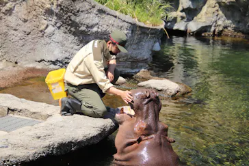 天王寺動物園に投稿された画像（2022/5/7）