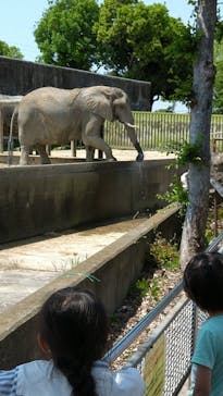 東武動物公園に投稿された画像（2022/5/7）