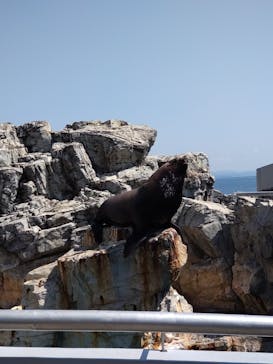 大分マリーンパレス水族館 「うみたまご」に投稿された画像（2022/5/7）