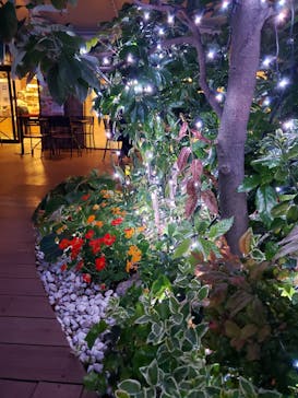 サンシャイン水族館に投稿された画像（2022/5/7）