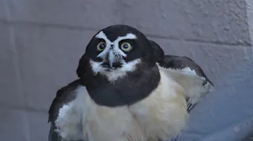 天王寺動物園に投稿された画像（2022/5/8）