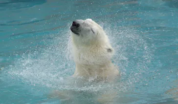 天王寺動物園に投稿された画像（2022/5/8）