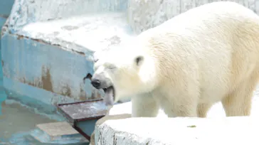 天王寺動物園に投稿された画像（2022/5/8）