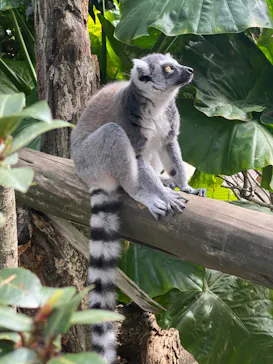 神戸どうぶつ王国に投稿された画像（2022/5/8）