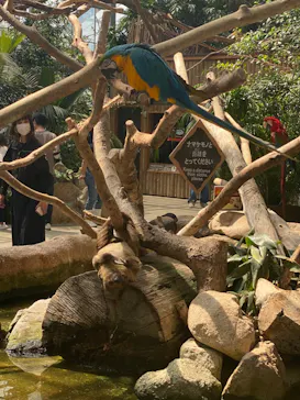 神戸どうぶつ王国に投稿された画像（2022/5/8）