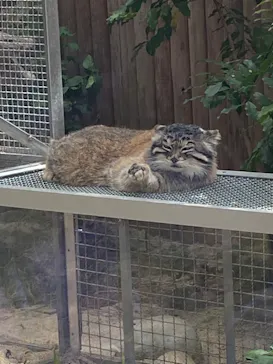 神戸どうぶつ王国に投稿された画像（2022/5/8）