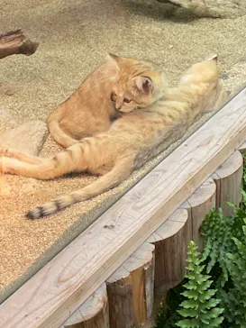 神戸どうぶつ王国に投稿された画像（2022/5/8）