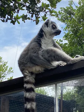 神戸どうぶつ王国に投稿された画像（2022/5/8）