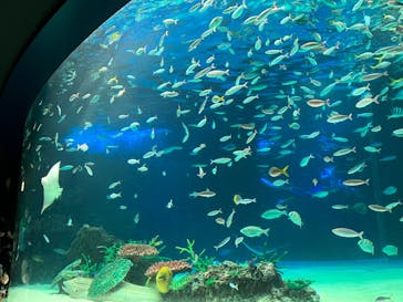 サンシャイン水族館に投稿された画像（2022/5/8）