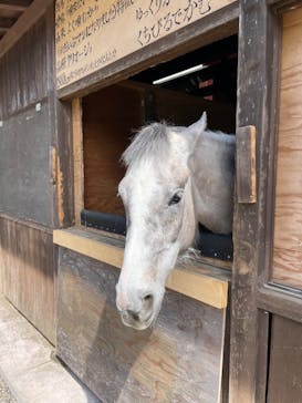 伊勢忍者キングダムに投稿された画像（2022/5/8）