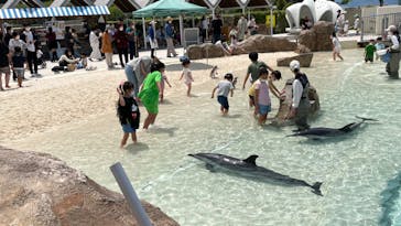 大分マリーンパレス水族館 「うみたまご」に投稿された画像（2022/5/8）