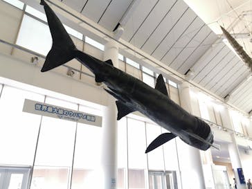 アクアワールド茨城県大洗水族館に投稿された画像（2022/5/8）