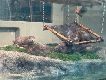 サンシャイン水族館に投稿された画像（2022/5/8）