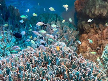 サンシャイン水族館に投稿された画像（2022/5/8）