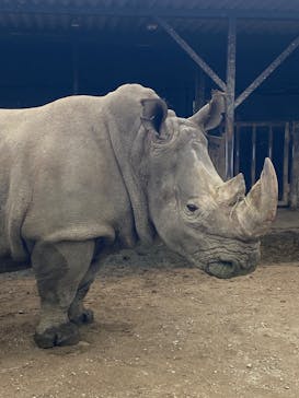 那須サファリパークに投稿された画像（2022/5/8）