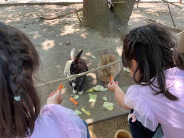 しろとり動物園に投稿された画像（2022/5/8）