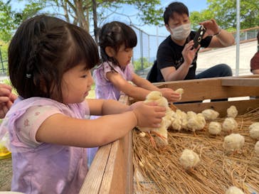 しろとり動物園に投稿された画像（2022/5/8）