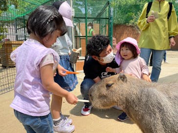 しろとり動物園に投稿された画像（2022/5/8）