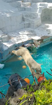 天王寺動物園に投稿された画像（2022/5/8）