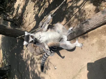 神戸どうぶつ王国に投稿された画像（2022/5/8）