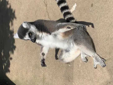 神戸どうぶつ王国に投稿された画像（2022/5/8）