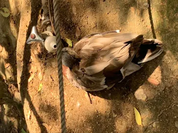 神戸どうぶつ王国に投稿された画像（2022/5/8）