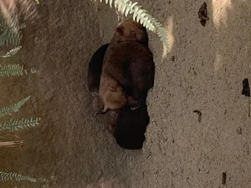 神戸どうぶつ王国に投稿された画像（2022/5/8）