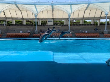 南知多ビーチランド＆南知多おもちゃ王国に投稿された画像（2022/5/8）