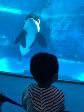名古屋港水族館に投稿された画像（2022/5/8）