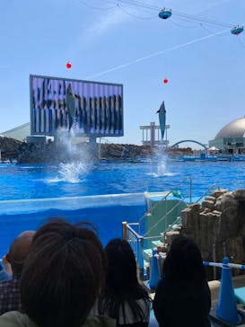 名古屋港水族館に投稿された画像（2022/5/8）