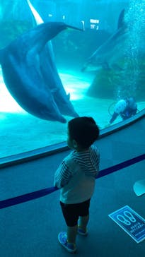 名古屋港水族館に投稿された画像（2022/5/8）