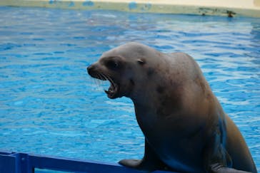 伊豆・三津シーパラダイスに投稿された画像（2022/5/8）