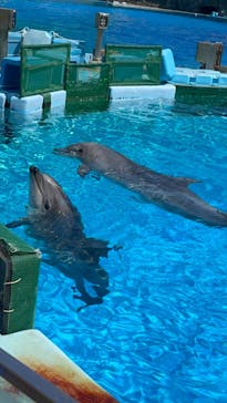 名古屋港水族館に投稿された画像（2022/5/8）