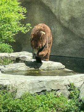 神戸どうぶつ王国に投稿された画像（2022/5/8）