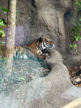 神戸どうぶつ王国に投稿された画像（2022/5/8）