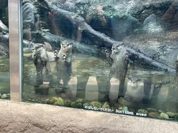 神戸どうぶつ王国に投稿された画像（2022/5/8）