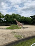 東武動物公園に投稿された画像（2022/5/8）