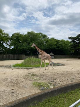 東武動物公園に投稿された画像（2022/5/8）