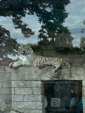 東武動物公園に投稿された画像（2022/5/8）