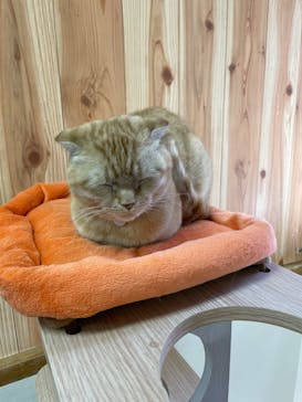 那須どうぶつ王国に投稿された画像（2022/5/8）